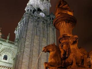 General view
 di Hotel Pazo De Altamira***