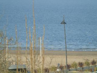 Morris, Rimini
