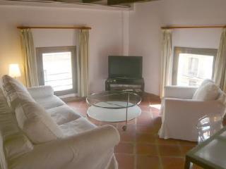 General view
 di Pillowapartments Paseo Del Born