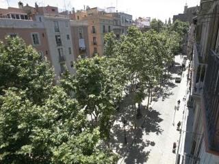 General view
 di Pillowapartments Borne Family