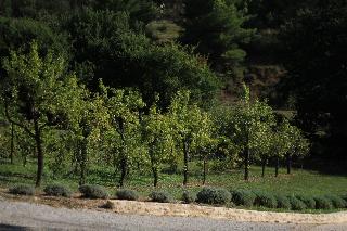 Le Mas Des Ecureuils, Aix-en-Provence