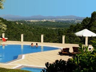 General view
 di Hotel Albellons Parc Natural