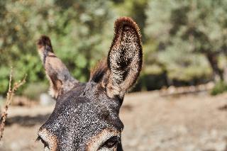 Agroturismo Alquería Blanca