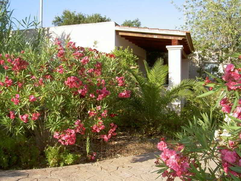 General view
 di Vistabella