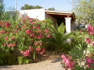 General view
 di Vistabella