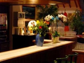 General view
 di Des Alleux