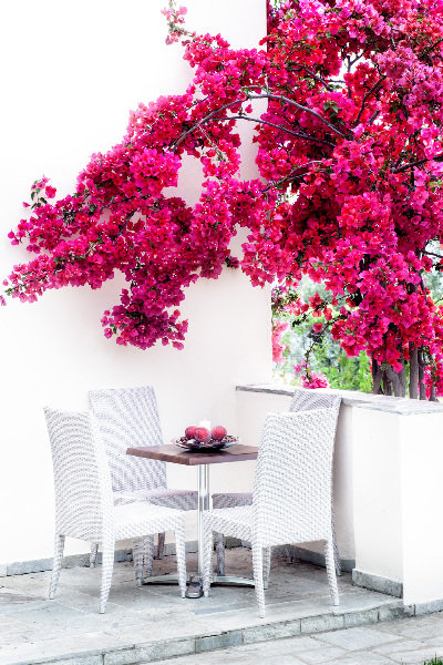 General view
 di Villa Vigles