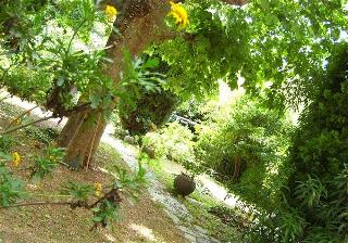 Le Prado De St Raph, Golfe de Saint Tropez