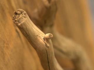 General view
 di Hôtel Les Bartavelles