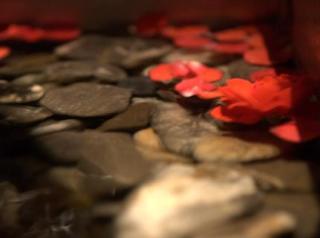 General view
 di Hôtel Les Bartavelles