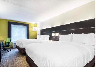 Room Room