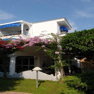 General view
 di A Pazziella