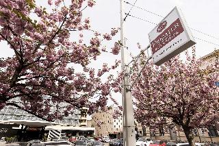 INTERNATIONAL BRNO