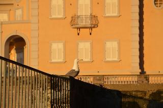 Hotel Cristina, Sorrento