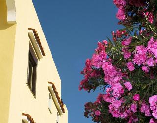Family Hotel Le Canne&Beauty, Ischia