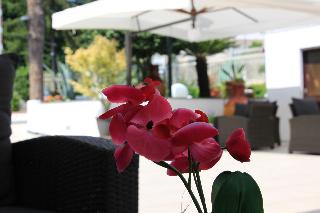 General view
 di Ranch Palace Hotel