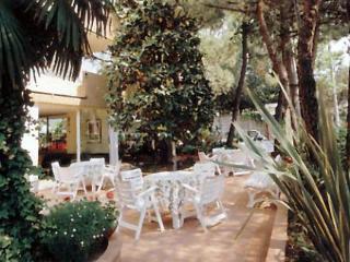 General view
 di Hotel Atrium