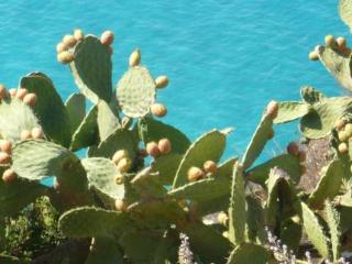 General view
 di Hotel Virgilio