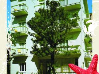 General view
 di Hotel Camelia