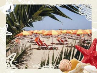 General view
 di Hotel Camelia