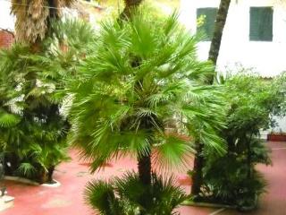 General view
 di Hotel Apollo