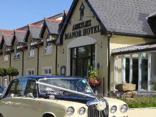Abbeyleix Manor Hotel - Generell