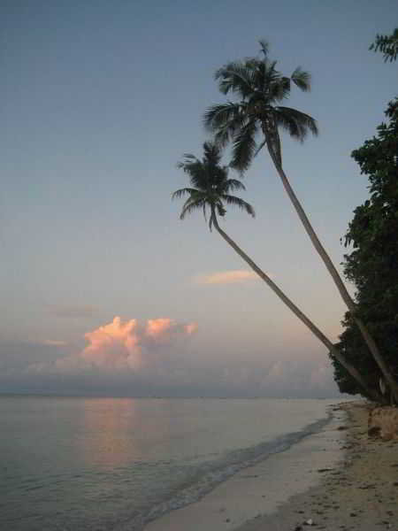 Beach
 di Yuken Mari Beach Haus