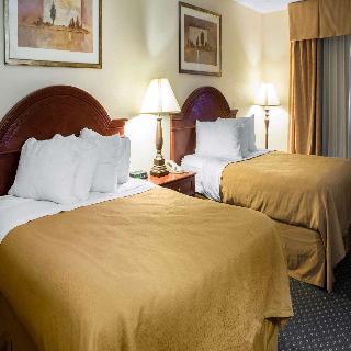 Room Room