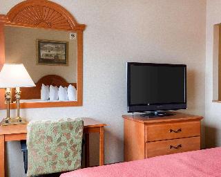 Room Room