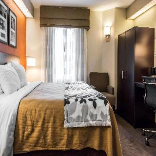 Room Room