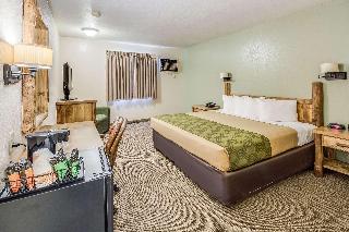 Room Room