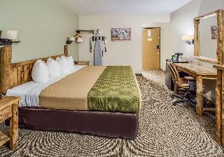 Room Room