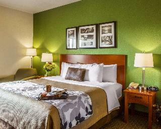Room Room