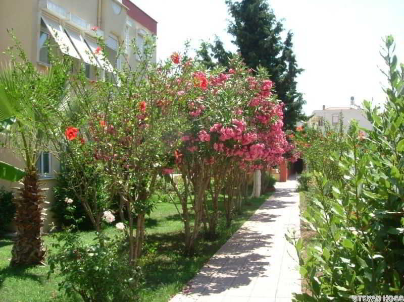 Sun Apartment