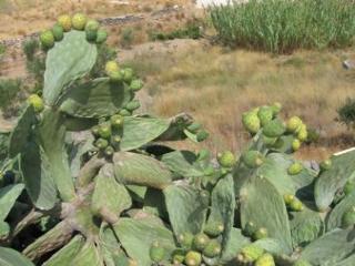 General view
 di Hotel Alkyon