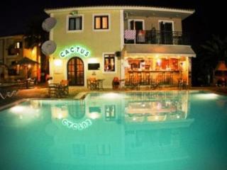 General view
 di Cactus