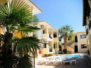 General view
 di Cactus