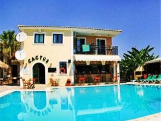 General view
 di Cactus