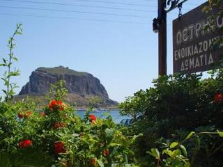 General view
 di Petrino Guesthouse