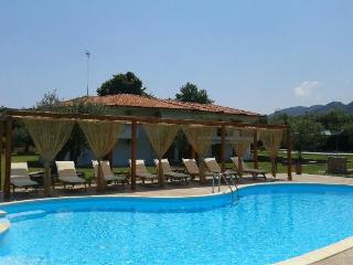 Pool
 di Top Studios