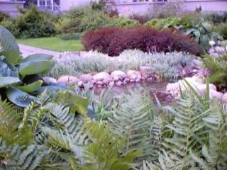 General view
 di Babka Tower Suites