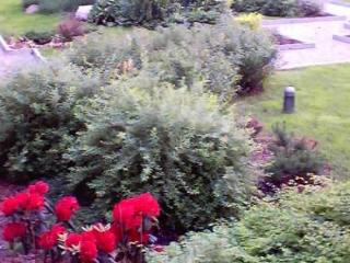 General view
 di Babka Tower Suites