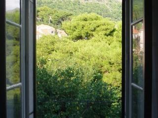 General view
 di Park Gradac Apartment