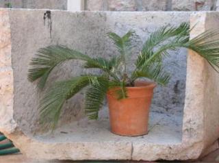 General view
 di Park Gradac Apartment