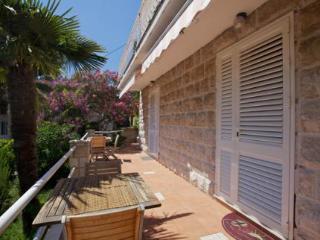 General view
 di Ankora Studios