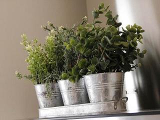 General view
 di Apartments Petra