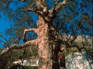 General view
 di Haus Sonne