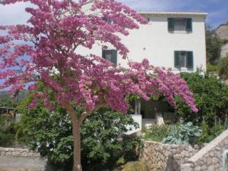 General view
 di Villa Doris Apartments