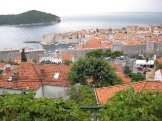 General view
 di Guesthouse Slavka