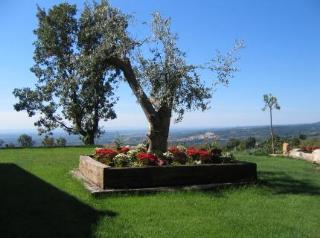 General view
 di La Sayuela I y II